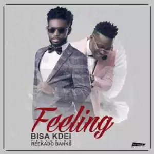 Bisa Kdei - Feeling ft Reekado Banks